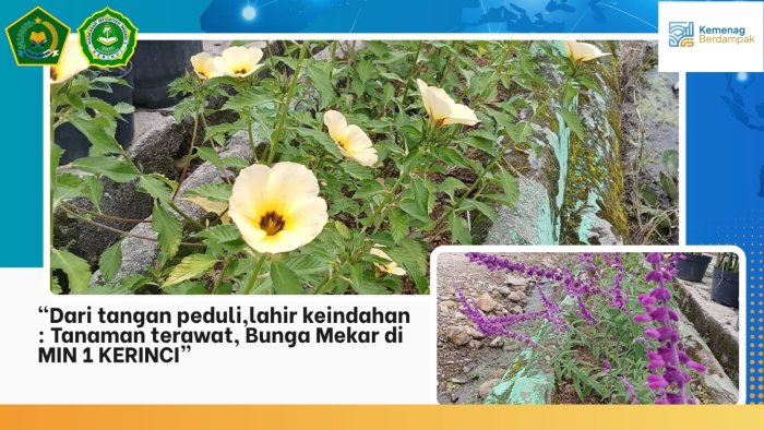 Dari Tangan Peduli Lahir Keindahan: Tanaman Terawat, Bunga Mekar di MIN 1 Kerinci 🌹