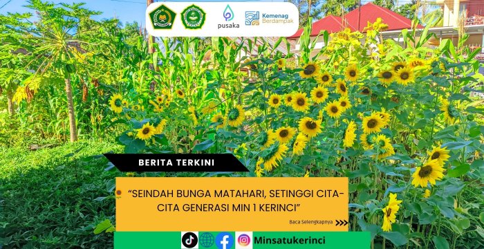 🌻 Seindah Bunga Matahari, Setinggi Cita-Cita Generasi MIN 1 Kerinci