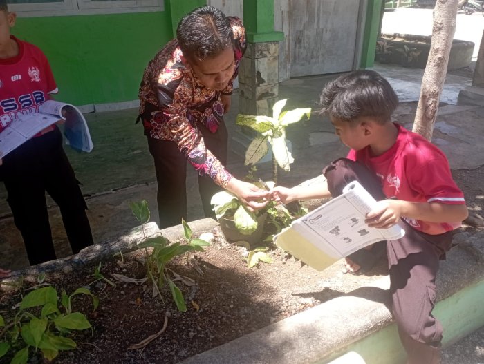 Amati Langsung Objek Belajar, Siswa Kelas VI MIN 1 Kerinci Pelajari Kelopak dan Sari Bunga