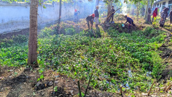 Kolam Sekolah: Perpaduan Edukasi, Estetika, dan Nilai Manfaat