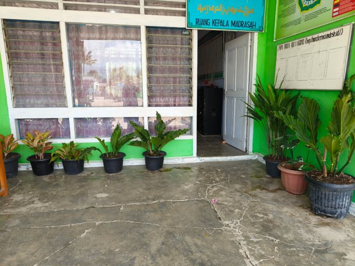 Indahnya Tanaman Anthurium Flowmanii (Gelombang Cinta) Hiasi Teras MIN 1 Kerinci, Ciptakan Suasana Asri dan Menyejukkan