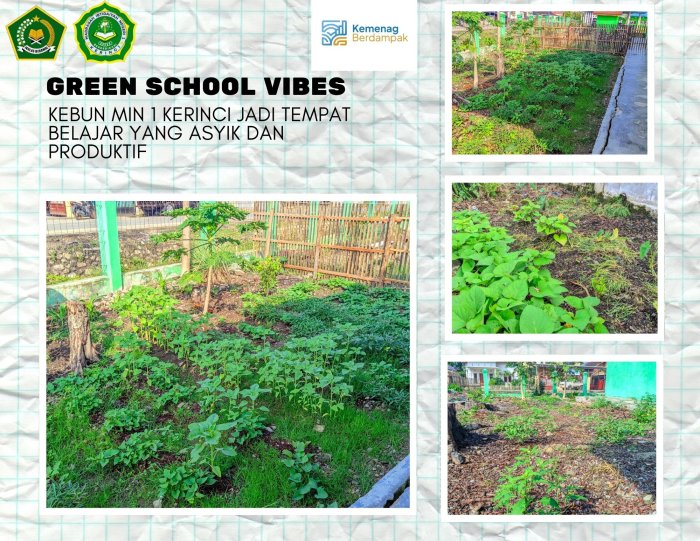 Green School Vibes! Kebun MIN 1 Kerinci Jadi Tempat Belajar Asyik dan Produktif 🌿📚