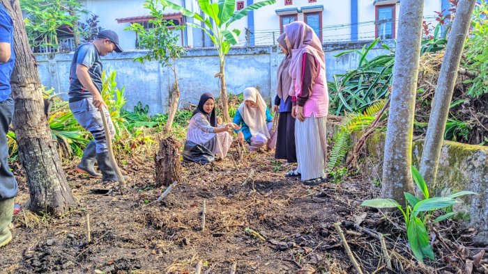 Dari Lahan Kosong Menjadi Kebun Edukatif, MIN 1 Kerinci Tanam Tumbuhan Produktif