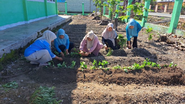 Gerakan Peduli Lingkungan, MIN 1 Kerinci Sulap Lahan Kosong Jadi Kebun Produktif
