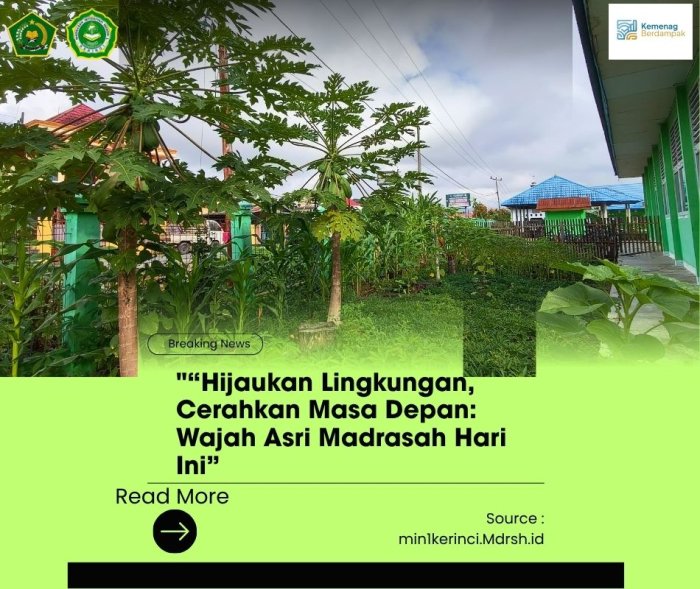 Hijaukan Lingkungan, Cerahkan Masa Depan: Wajah Asri Madrasah Hari Ini