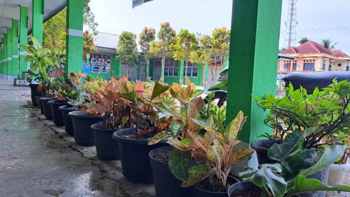 Lingkungan Asri MIN 1 Kerinci: Deretan Tanaman Hias Percantik Area Madrasah