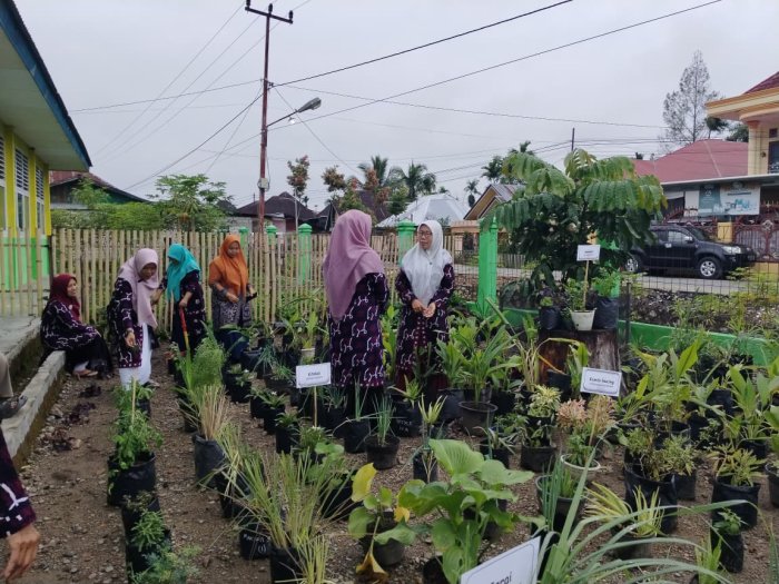 Menanam Kebaikan, Merawat Kesehatan: Guru MIN 1 Kerinci Semangat Merawat TOGA Menanam Kebaikan, Merawat Kesehatan: Guru MIN 1 Kerinci Semangat Merawat TOGA