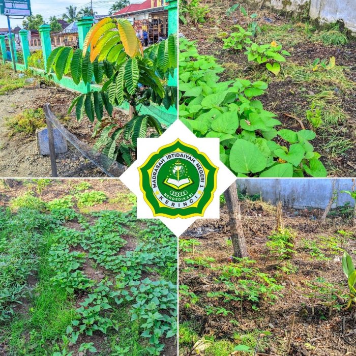 Update terbaru ekoteologi min  1 kerinci