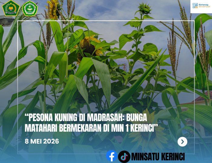 Pesona Kuning di Madrasah: Bunga Matahari Bermekaran di MIN 1 Kerinci