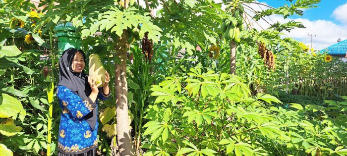 Manfaatkan Lahan Kosong, MIN 1 Kerinci Sulap Pekarangan Menjadi Kebun Hijau Produktif